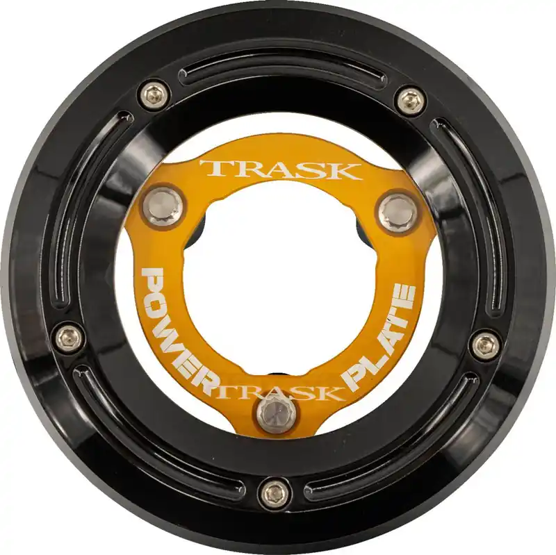 Time-Limited Trask - 11070770 - Derby Cover with Power Plate - Black/Gold - Kit - '18-'25 Softail