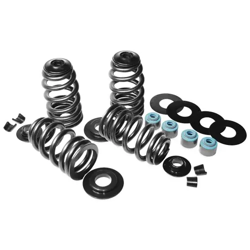 Fresh Stock Feuling Econo Beehive Valve Spring Kit
