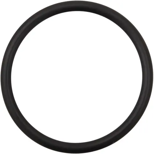 James Alternator Cap Cover O-Rings Authentic