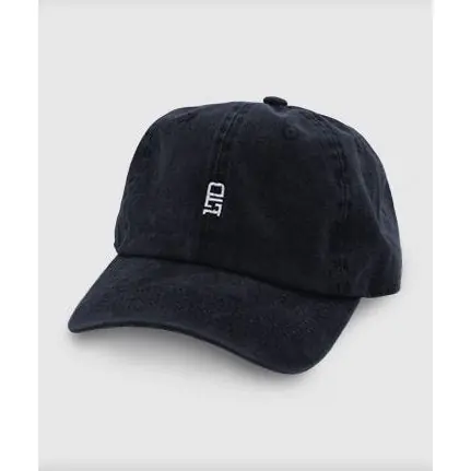 TEAMLTD Dad Hat Authentic