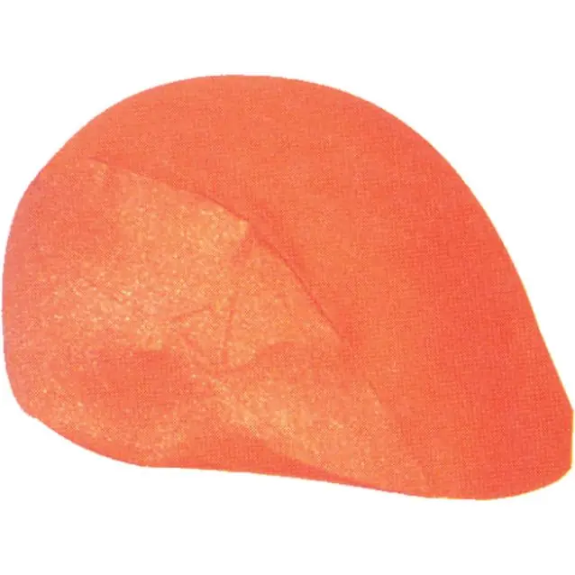 Best Seller Pro Max Helmet Skin