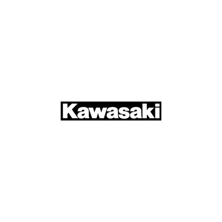 Cheap Factory Effex     Universal Fork/Swingarm Stickers - Kawasaki