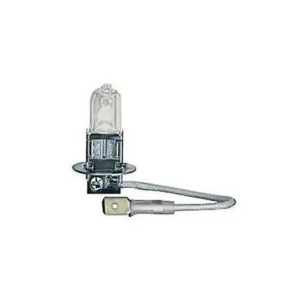 Drag Specialties     Skull Head Front Fender Bulb Replacement Deal