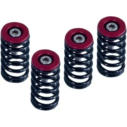 Fast Shipping Barnett     Ducati Dry Clutch Spring Kit
