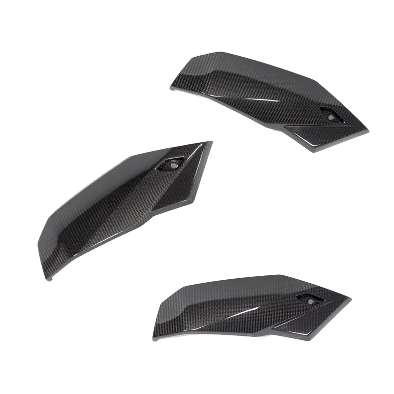 Fan Favorite Carbon Fiber Bellypan by Ilmberger Carbon BMW / M1000R / 2024